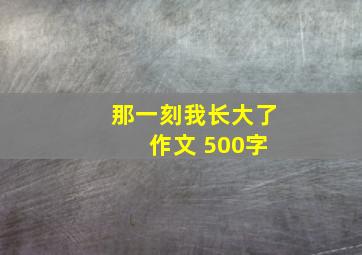 那一刻我长大了 作文 500字